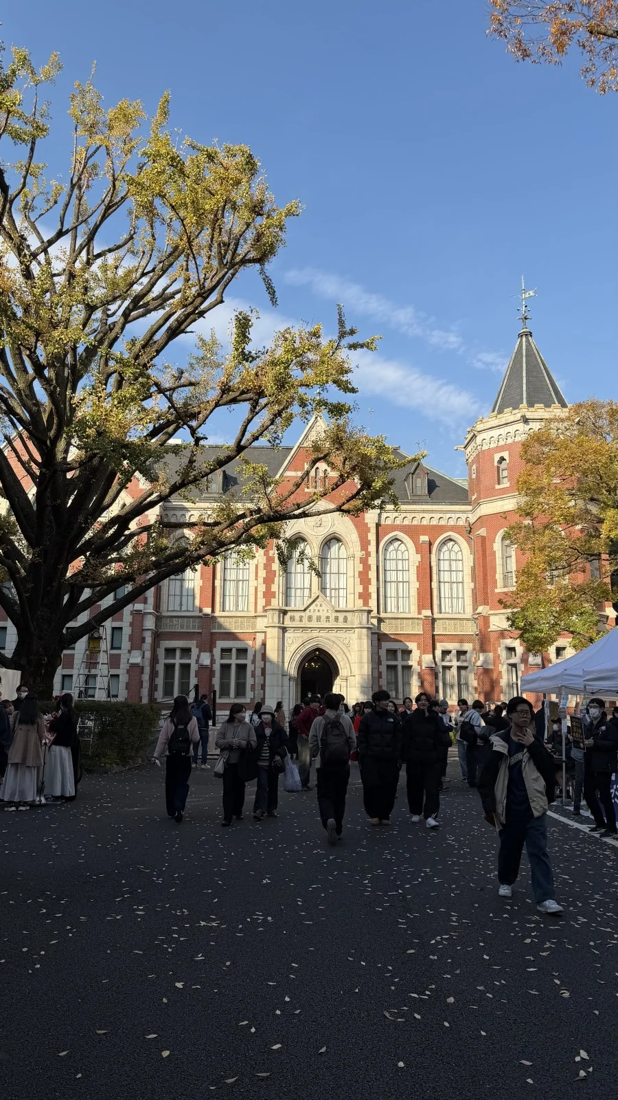 【慶應商小論文解説】現役慶應生ならこう解く！勉強法&コツを伝授